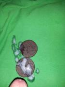 [Proof] Replace The Cream In The Oreo With Cum. Bonus For Eating.