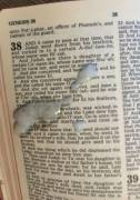[Proof] Cum In A Bible