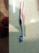 [Proof] Cum On A Family Members (Sisters) Toothbrush