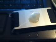 [Proof] Cum On A Cellphone (Also Sort Of Came On Keyboard Too)