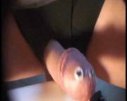 Phallus Is Excited To See You!