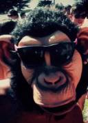 Thanks For Moving Monkey