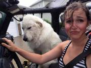 Caught In The Rain (X-Post From /R/Pics)