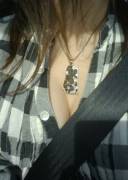 Plaid &Amp;Amp;Amp; Pallasite Meteorite