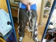 I Can Clean That Off If You'd Like (X-Post From /R/Scally)