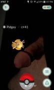 Pidgey On [M]Y Pecker!