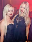 Not Strictly Gloria-V. But You Won't Complain.