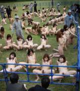 Classified Ad: (/R/Maledomempire)I Am Currently Overstocked With Tajima Semen Cattle. ...