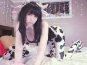 Hucow Ready To Free Range