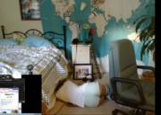 Down Shirts &Amp;Amp;Amp; More