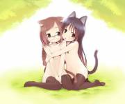 [Xpost] Neko Friendship Is Cute.