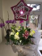 Beth Lily Is 20 Years Old. Happy Birthday!