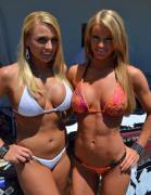 Longhorn Harley Bikini Contest 4-21-12