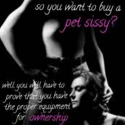 Pet Sissy Adoptions (By Amanda Sucknfuck)