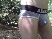 Grey Briefs In The Forest