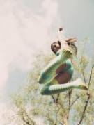 From Below R/Girlsinstrippedsocks