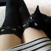 A Trio Of Black Kitties :3