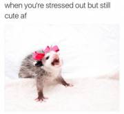 This Week I've Been In Charge Of My Department At Work While My Boss Is Out Of Town. ...