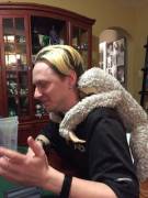 Daddy's Friends Are Surprisingly Tolerant Of My Stufties' Shenanigans During Their ...