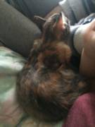 Daddy Set Up A Whole Little Day For Me! He Woke Me Up, Got Me A Yummy Smelling Bath, ...