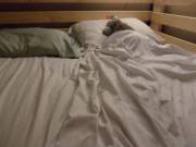 Sir Has Work Early In The Morning. Guess Who He Puts In His Place When He Leaves?