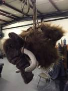 Here Is Kimchi In Her First Full Suspension!! She Even Got Tusk Rope! She's Such ...