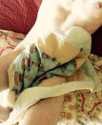 Merry Hellos. Boy Little Here! I'm New! Here I Am Getting A Little Naughty With My ...