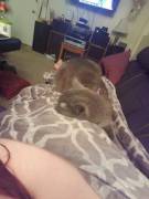 My Kitty Cat Looooves Meee! :3 That's All.