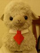 Made My Alpaca New Work Clothes!