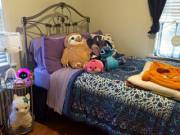 Moving Off Campus Has Been Very Hectic So Far, But At Least The Rest Of The Gang ...