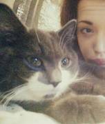 My Sir Got A New Kitty So We've Been Cuddling The Entire Evening :3