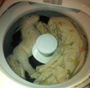 My Definition Of Bravery: Washing Both My Stuffie And Blankie In The Same Load