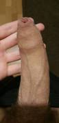 Hard, But Still Got Room For 2 Extra Inches Of Cock Under My Long Foreskin