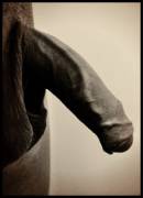 Tried To Turn People On In R/Penis With My Skin And Was Told About This Place.. You ...