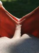 The Sun Is Shining Through Them