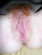 Fire Crotch With Wings