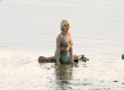 Elisha Cuthbert's (Mq)