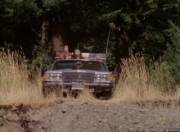 She's Bouncing Pretty High