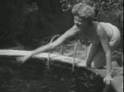 Trying To Get The Ball