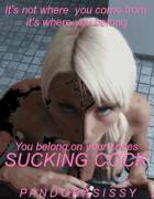 It`s Not Where Your From, It`s Where You Belong