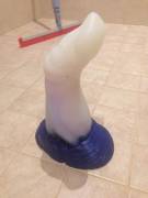 [Mtf] Having Fun With Trent