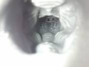 Inside Veiw Of The Muzzle For Those Curious.