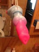 A Tropical-Esque Cole Has Arrived!