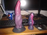 My New Gryphon Dwarfs Little Fenrir :O