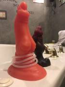 My 2 New Boys Arrived Today, L Crash And Mountain Drake