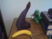 My Precious Baby Arrived!