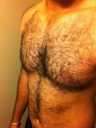 Young Brown Bear. First Post, So Go Easy Guys.