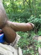 A Wild Cock Appears!