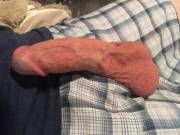 American Cock In Europe