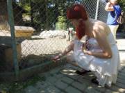 Daddy Took Me To An Animal Park!